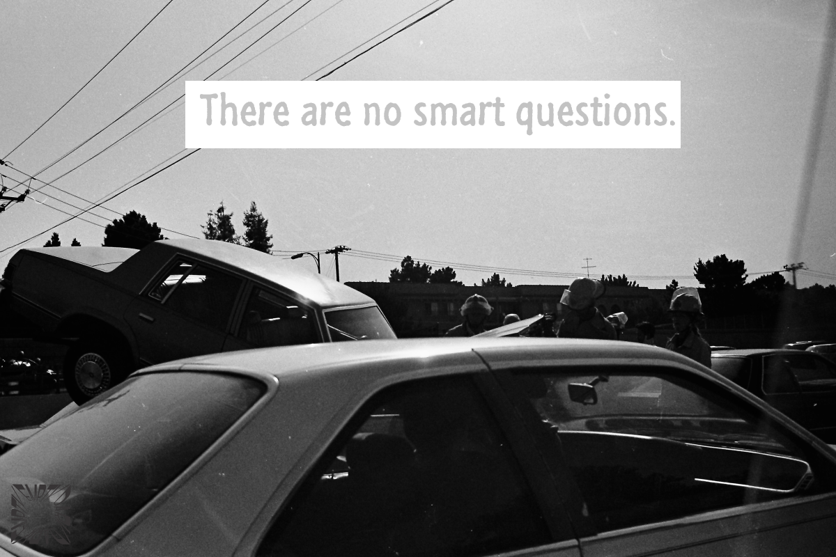 No Smart Questions