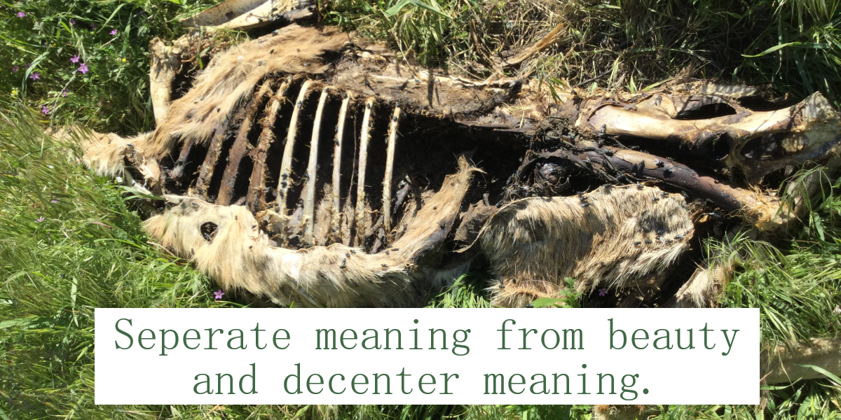 Decentering Meaning