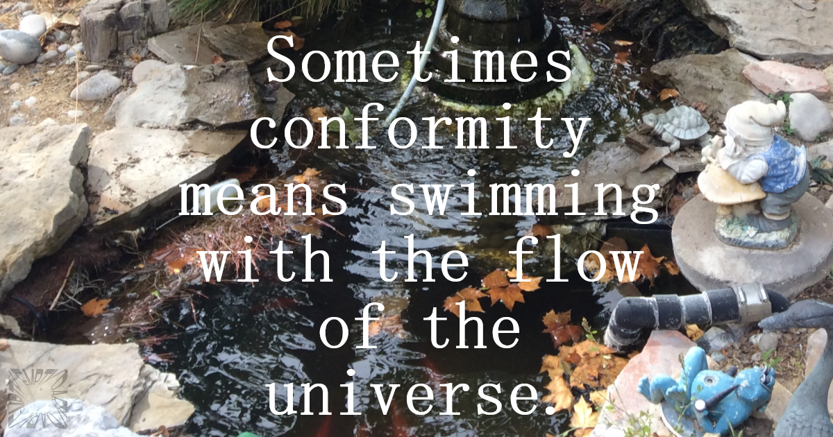 Flow of the Universe