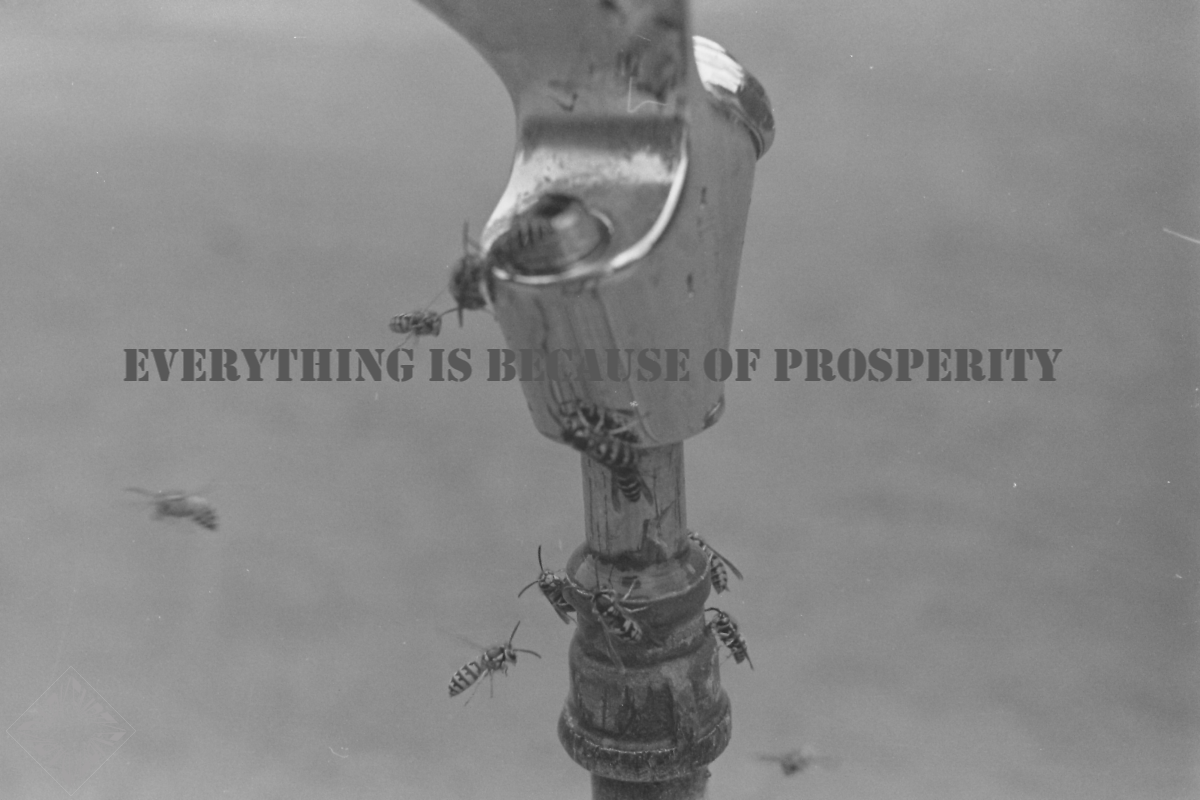Prosperity is Everything