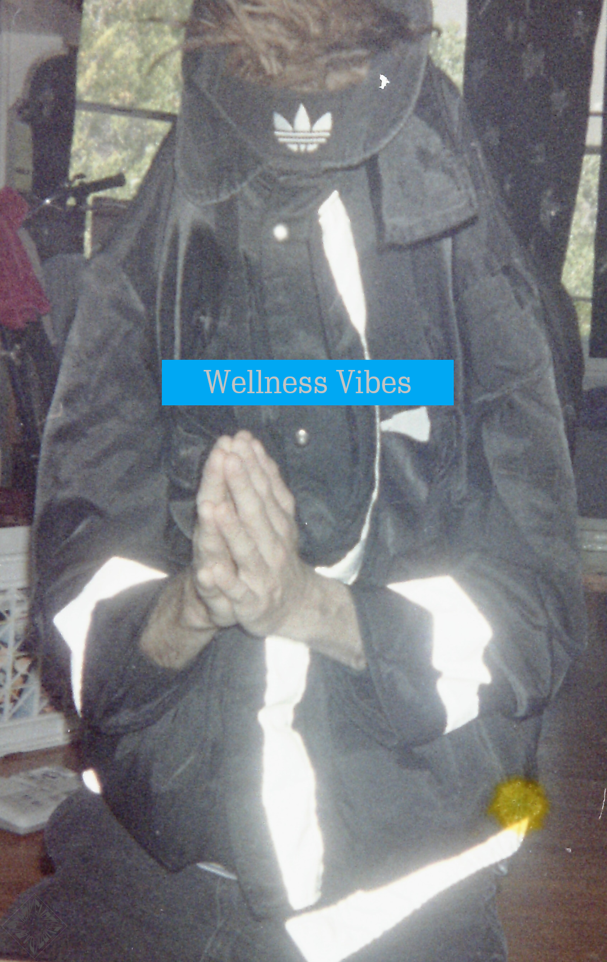 Wellness Vibes