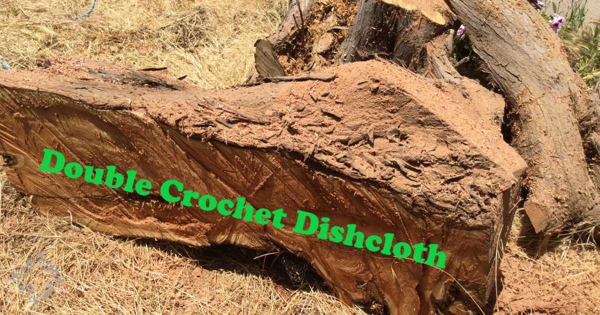 Double Crochet Dishcloth